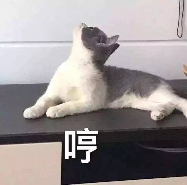 AG亚娱集团