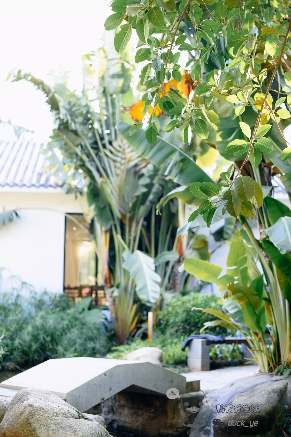 (作者:郭显莉)连续康健生长需要强有力的监视-AG亚娱集团(图2) AG亚娱集团官方