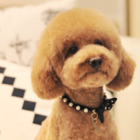 AG亚娱集团官方