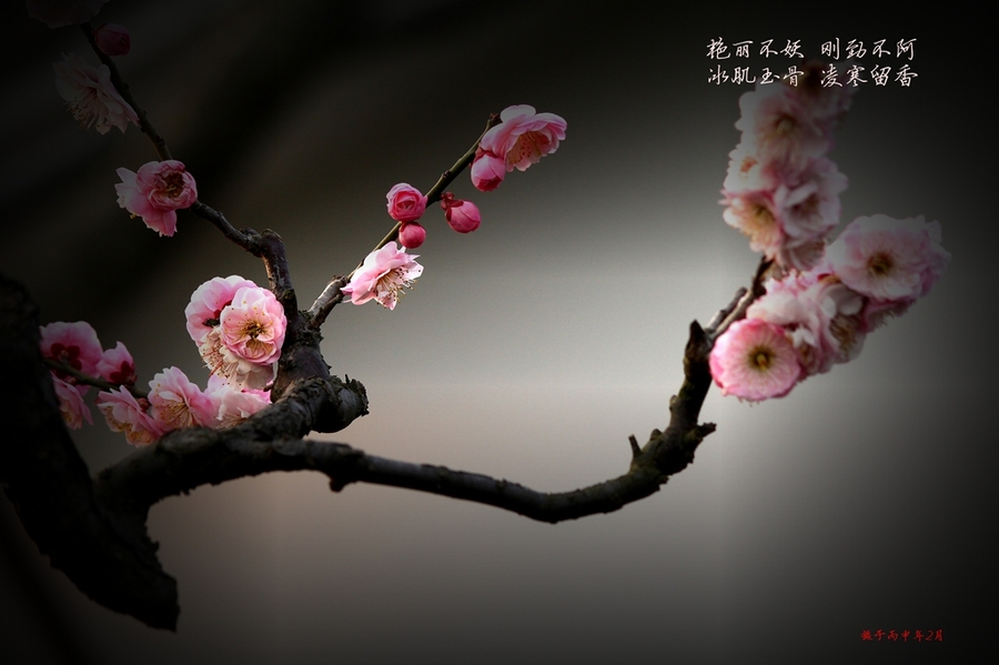 AG亚娱集团官方