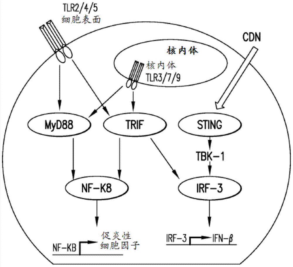AG亚娱集团官方