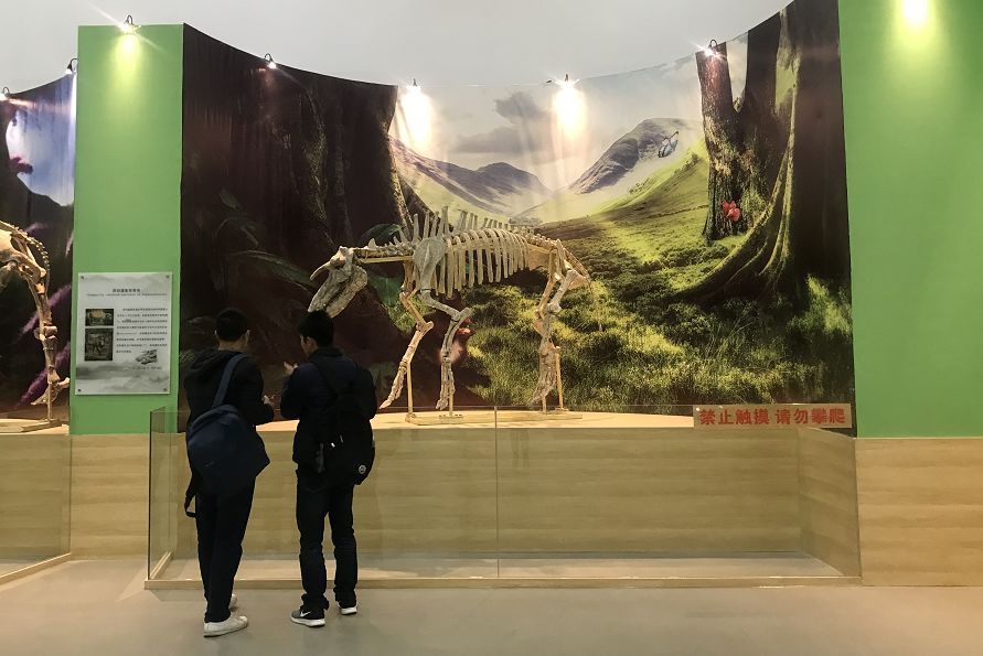 ag亚娱官网-苹果多少钱一斤?6月27日苹果产区收购价格行情(图3) ag亚娱官网