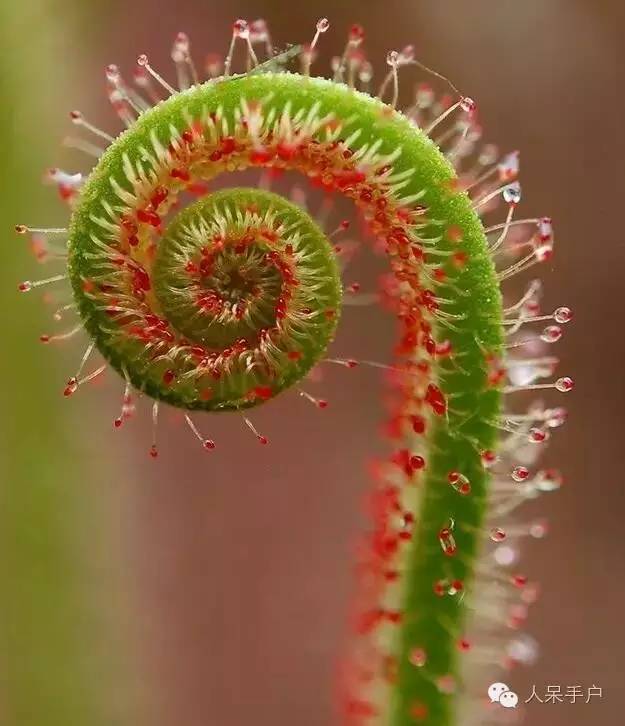 “红衣女郎”Clara克拉拉转战歌坛 克氏新歌强烈来袭“AG亚娱集团”(图3) AG亚娱集团