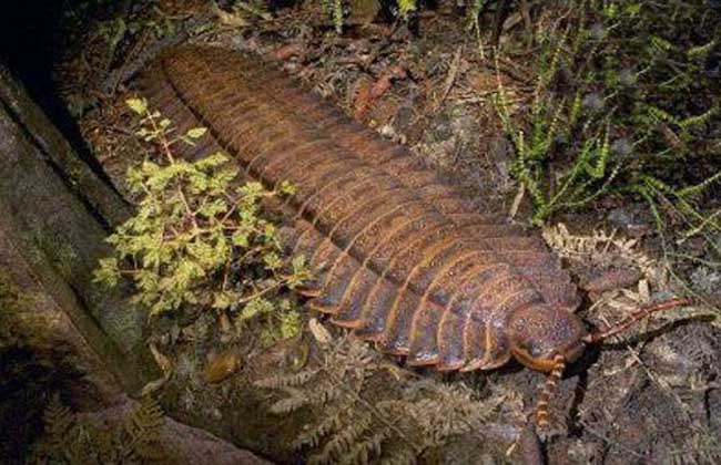 AG亚娱集团官方