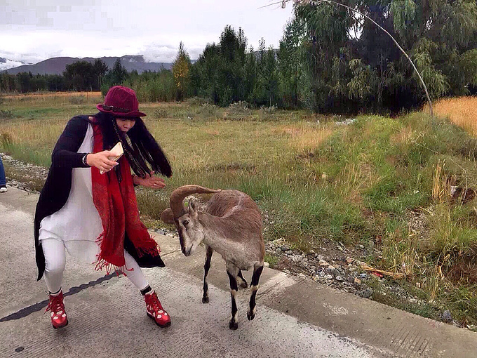 AG亚娱集团官方_舞美塑造时空汪峰岁月演唱会舞台视觉诠释“岁月”(图3) AG亚娱集团官方