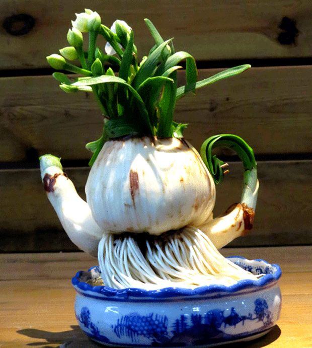 “ag亚娱官网”中孚泰锐丰达成战略合作 打造大剧院建设第一品牌(图1) AG亚娱集团