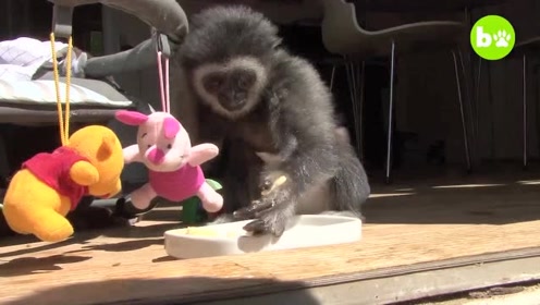 陕西省建筑设计研究院中标兰州新区四号湖生态公园项目|ag亚娱官网(图1) ag亚娱官网