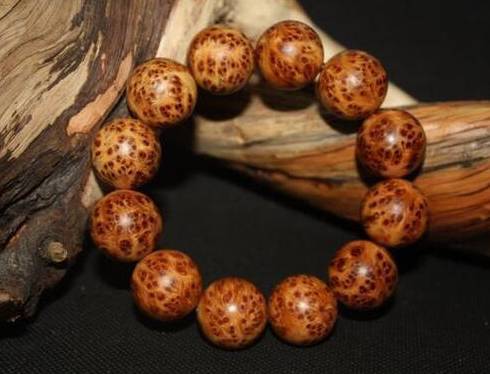 AG亚娱集团|好声音那英组学员吐洪江等演绎人文歌曲《温州之恋》(图2) AG亚娱集团官方