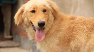 2016年中国建筑业将如何发展?国家已经抛出橄榄枝-ag亚娱官网(图2) ag亚娱官网