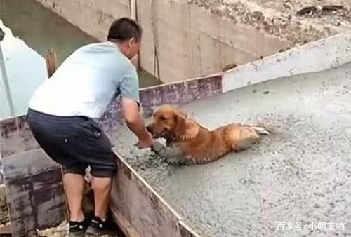 上海举办首届优秀庭院景观案例评比|AG亚娱集团官方(图2) ag亚娱官网