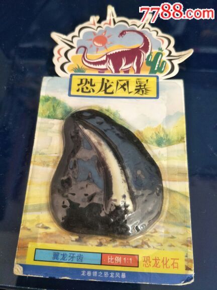 2019年度“全国十佳农民”资助项目哪些人可以申报?截止时间是什么时候?|AG亚娱集团(图1) ag亚娱官网