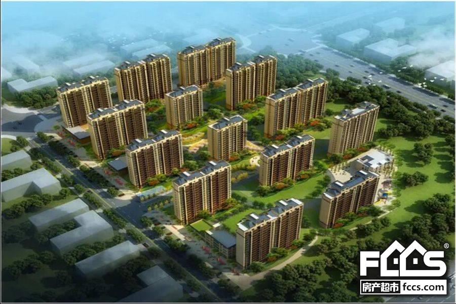 AG亚娱集团官方_小小山药带来的致富路(图1) AG亚娱集团