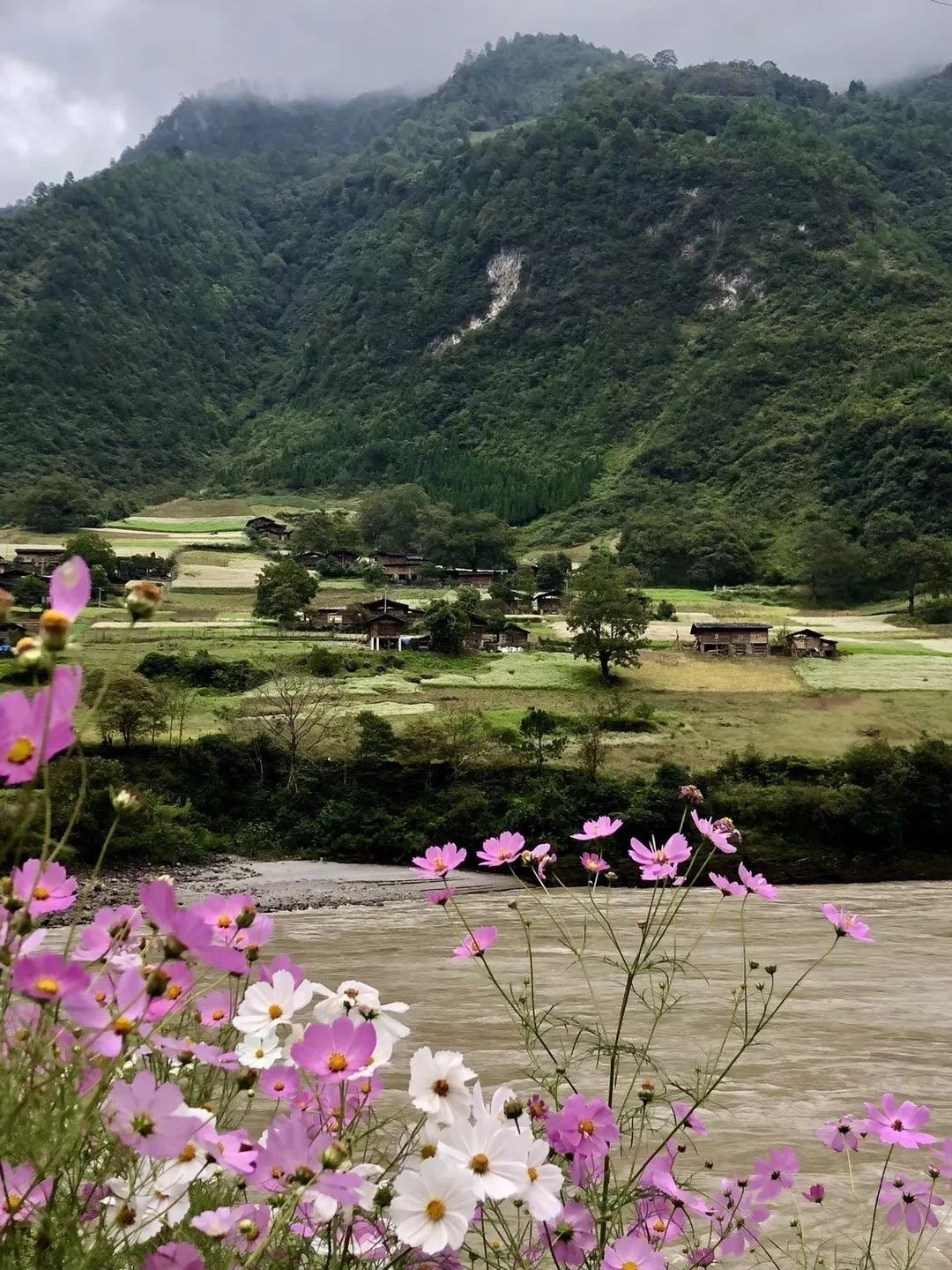 AG亚娱集团:隔壁老樊巡回演唱会上海开唱 实力现场掀起合唱热潮(图3) AG亚娱集团