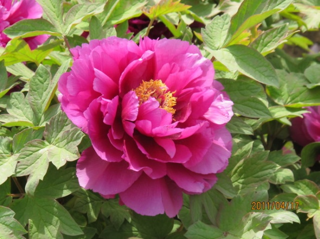 浙江耗资4亿元打造现代版“阿房宫”_AG亚娱集团官方(图2) ag亚娱官网