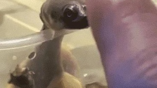 AG亚娱集团官方