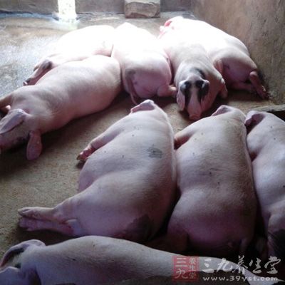 AG亚娱集团官方