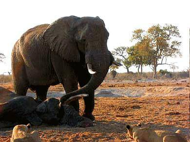 西安将出台《城市规划导则》等约束性标准|ag亚娱官网(图1) AG亚娱集团