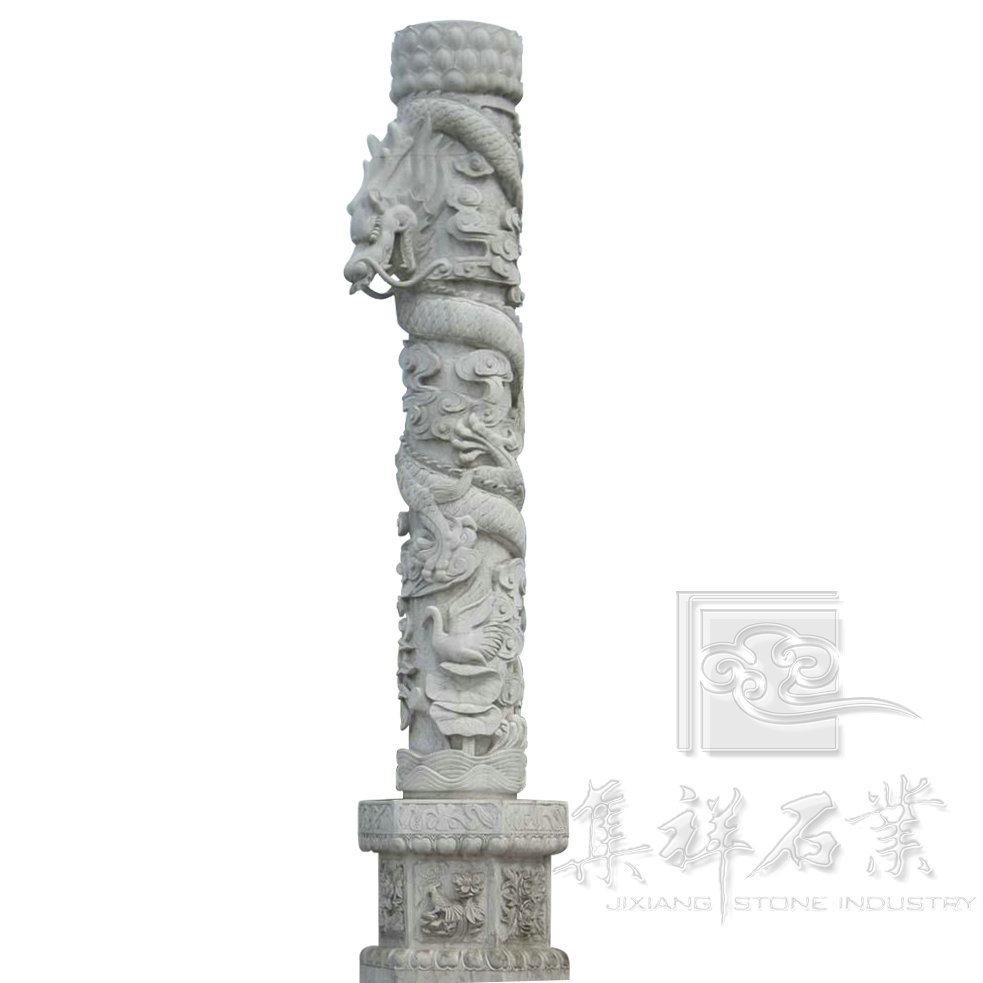 白羽鸡苗价格多少钱一只?2019白羽鸡苗最新价格行情分析|AG亚娱集团官方(图3) AG亚娱集团