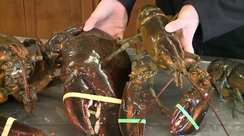 AG亚娱集团官方