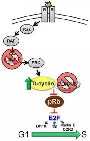 AG亚娱集团官方