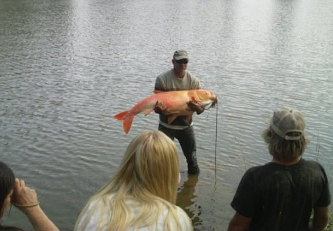 AG亚娱集团:工人体育馆(图2) ag亚娱官网