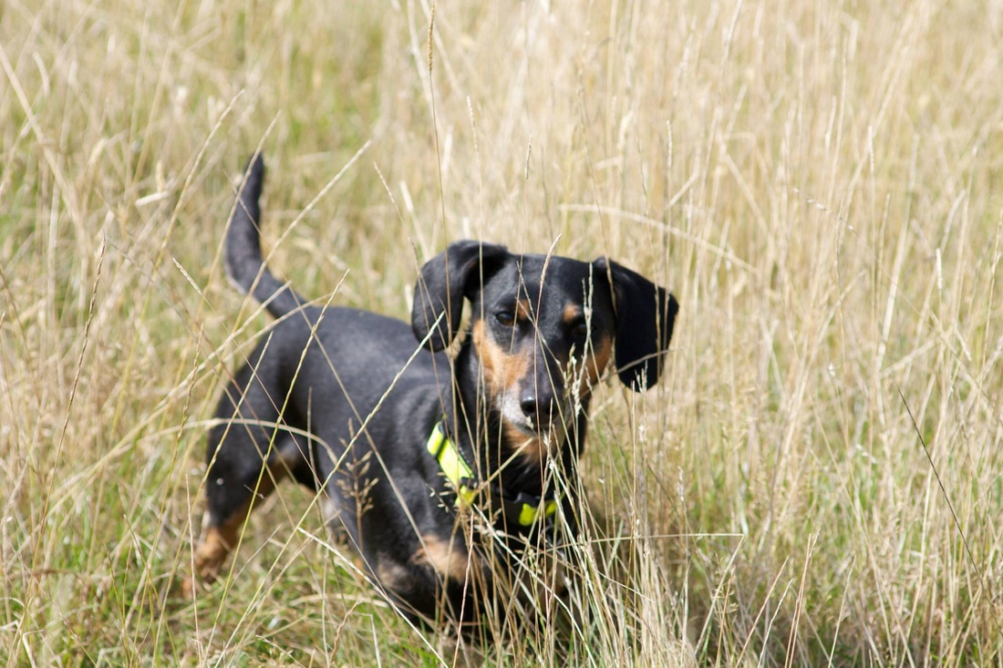 荣获两次格莱美提名百大DJ “蛇叔” DJ SNAKE即将开启中国巡演【ag亚娱官网】(图3) AG亚娱集团