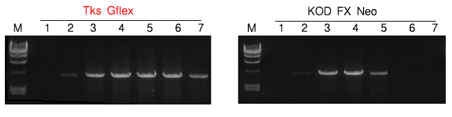 ag亚娱官网-白小白环球冰雪跨年 粉丝刷屏成全场弹幕王(图2) AG亚娱集团