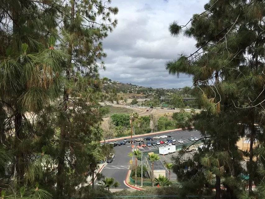 “AG亚娱集团官方”
美国留学设计类专业(图2)