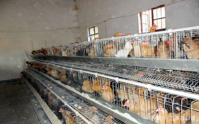 AG亚娱集团官方:扎哈·哈迪德设计纽约“高线”人行道(图3) ag亚娱官网