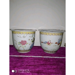 【AG亚娱集团】蛋鸡价格多少钱一斤?蛋鸡养殖技术介绍(图1) AG亚娱集团