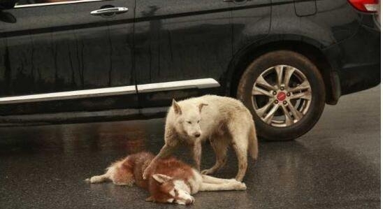 AG亚娱集团官方