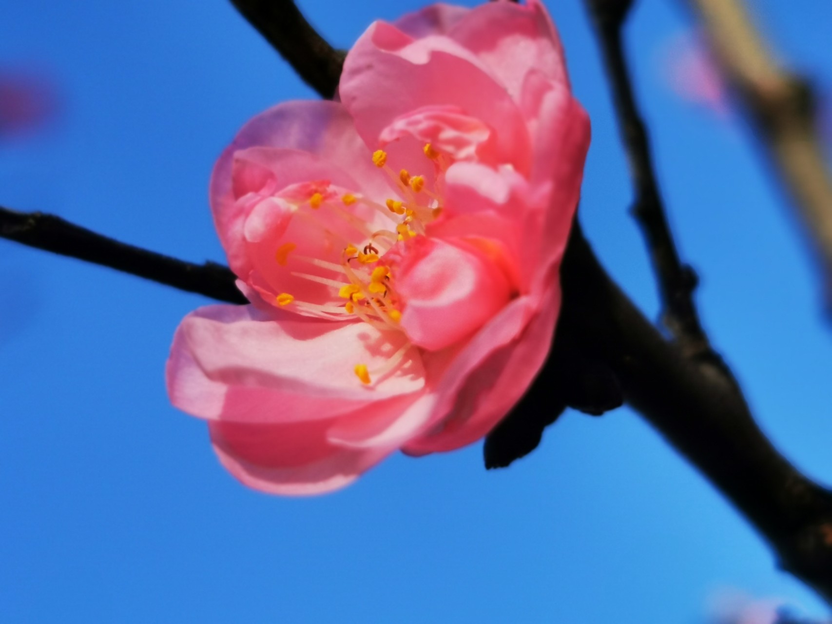 AG亚娱集团官方