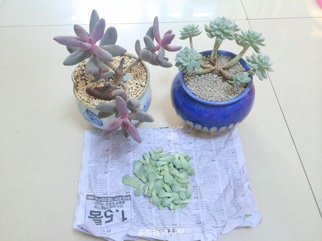 电影《江湖儿女》推广曲发布 摩登兄弟刘宇宁演绎虐恋《有多少爱可以重来》-ag亚娱官网(图1) AG亚娱集团