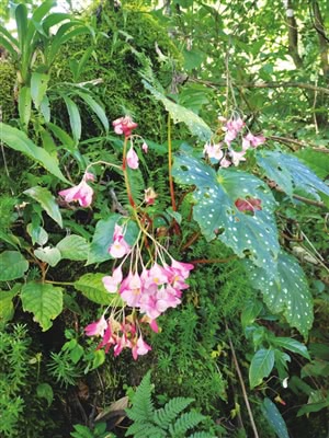 ‘ag亚娱官网’美国驻土耳其大使馆设计公布(图1) AG亚娱集团