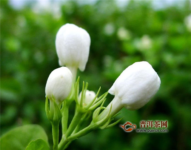 AG亚娱集团官方