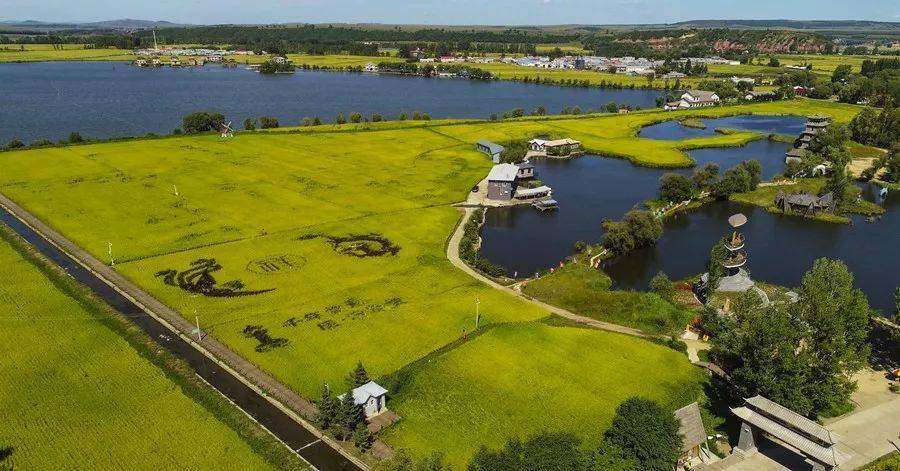 
应对台风叠加↘牡丹江增强分类指导保障农业生产宁静！|AG亚娱集团(图3)