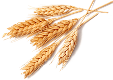 
应对台风叠加↘牡丹江增强分类指导保障农业生产宁静！|AG亚娱集团(图6)