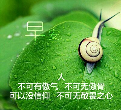 ag亚娱官网|隔壁老樊巡回演唱会上海开唱 实力现场掀起合唱热潮(图2) AG亚娱集团官方