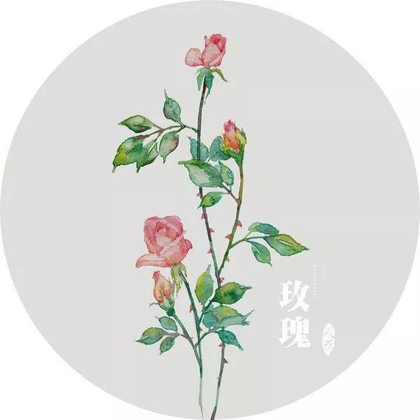 ag亚娱官网-互联网+好声音 飞Young浙江校园好声音O2O模式引爆网络赛区(图1) AG亚娱集团官方